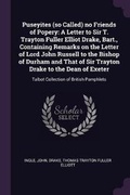 Cover: Puseyites (so Called) no Friends of Popery - Palala Press