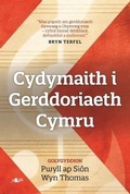 Cover: Cydymaith i Gerddoriaeth Cymru - Y Lolfa