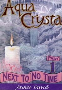 Enlarge image Cover: Next to No Time - Moonbeam Publishing