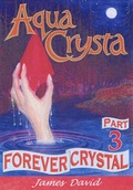 Cover: Forever Crystal - Moonbeam Publishing