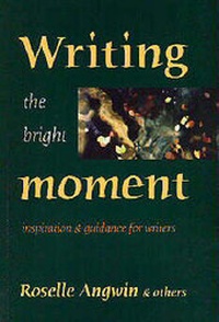 Enlarge image Cover: Writing the Bright Moment - Fire in the Head
