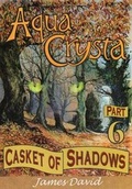 Cover: Casket of Shadows - Moonbeam Publishing