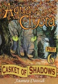 Enlarge image Cover: Casket of Shadows - Moonbeam Publishing
