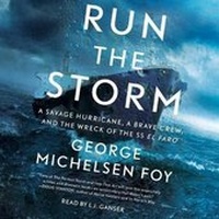 Abbildung von: Run the Storm - SIMON & SCHUSTER AUDIO