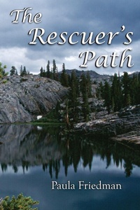 Enlarge image Cover: The Rescuer's Path - Plain View Press, LLC