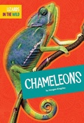 Cover: Chameleons - Amicus High Interest