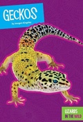 Cover: Geckos - Amicus High Interest