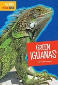 Cover: Green Iguanas - Amicus High Interest