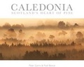 Cover: Caledonia - Northshots