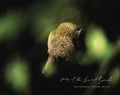 Cover: Voice of the Great Spirit - Pine Forest Press