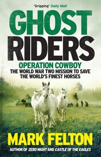 Enlarge image Cover: Ghost Riders - Icon Books