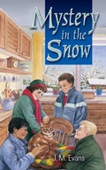Cover: Mystery in the Snow - Dernier Publishing