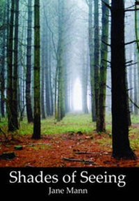 Enlarge image Cover: Shades of Seeing - Vinca Press