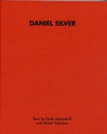 Cover: Daniel Silver - Northern Gallery for Contemporary Art