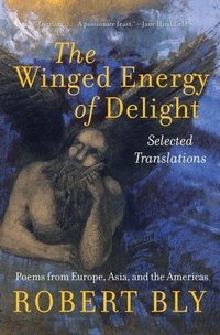 Enlarge image Cover: The Winged Energy of Delight - Collins