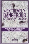 Cover: An Extremely Dangerous Piece of Lint - Blue Boat Books, LLC