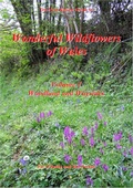 Cover: Wonderful Wildflowers of Wales: Woodland and Waysides v. 1 - First Nature