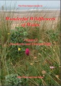 Cover: Wonderful Wildflowers of Wales: Seashores and Coastal Cliffs v. 2 - First Nature