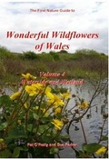 Cover: Wonderful Wildflowers of Wales: v.4 - First Nature