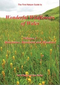 Cover: Wonderful Wildflowers of Wales: Mountains, Moorland and Meadows v. 3 - First Nature