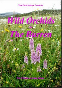 Enlarge image Cover: Wild Orchids in the Burren - First Nature