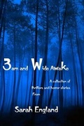 Cover: 3am and Wide Awake - Alfie Dog Ltd