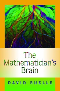 Abbildung von: The Mathematician's Brain - Princeton University Press
