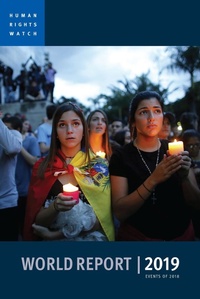 Enlarge image Cover: World Report 2019 - Seven Stories Press