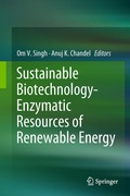 Cover: Sustainable Biotechnology- Enzymatic Resources of Renewable Energy - Springer