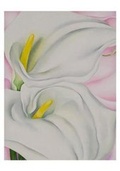 Cover: Georgiea O'Keeffe Two Calla Lilies on Pink - Pomegranate Communications Inc,US