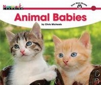 Enlarge image Cover: Animal Babies Shared Reading Book (Lap Book) - Newmark Learning