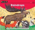 Cover: Raindrops Leveled Text - Newmark Learning