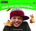Cover: What Can the Wind Blow? Leveled Text - Newmark Learning