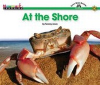 Enlarge image Cover: At the Shore Shared Reading Book - Newmark Learning