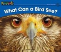 Cover: What Can a Bird See? Leveled Text - Newmark Learning