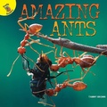 Cover: Amazing Ants - Ready Readers