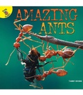 Cover: Amazing Ants - Ready Readers