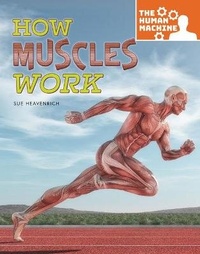 Enlarge image Cover: How Muscles Work - Rourke Educational Media