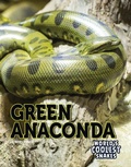 Cover: Green Anaconda - Rourke Educational Media