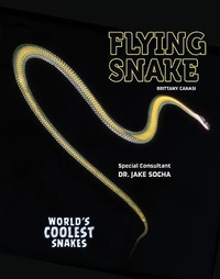 Enlarge image Cover: Flying Snake - Rourke Educational Media