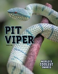 Cover: Pit Viper - Rourke Educational Media