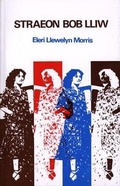 Cover: Straeon Bob Lliw - Dinefwr Publishers Ltd