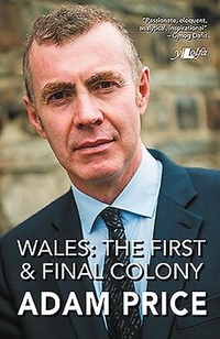 Enlarge image Cover: Wales - The First and Final Colony - Y Lolfa