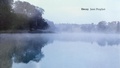 Cover: Decoy: Jane Prophet - Film & Video Umbrella