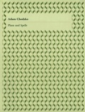 Cover: Plans and Spells- Adam Chodzko - Film & Video Umbrella