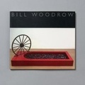 Cover: Bill Woodrow - Waddington Galleries