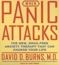 Cover: When Panic Attacks - HarperAudio
