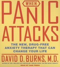 Enlarge image Cover: When Panic Attacks - HarperAudio