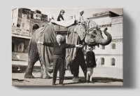 Enlarge image Cover: Calder in India - Ordovas