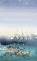 Cover: The Voyage of the Arctic Tern - Synapse GB Ltd